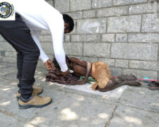 uctindia-25july2020-8