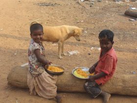 uctindia-feb2022-6